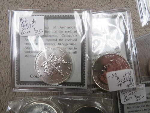 10 assorted Silver Canadian Maple Leaf 1oz Coins.-some Asst. Dates