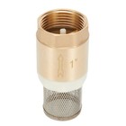 Replacement Home Parts Plumbing Accessories Foot Valve Valves Gold/Silver