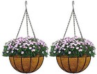 9" Wide Hanging Garden Basket Window Planter Coco Coir Liner Plants Set of 2