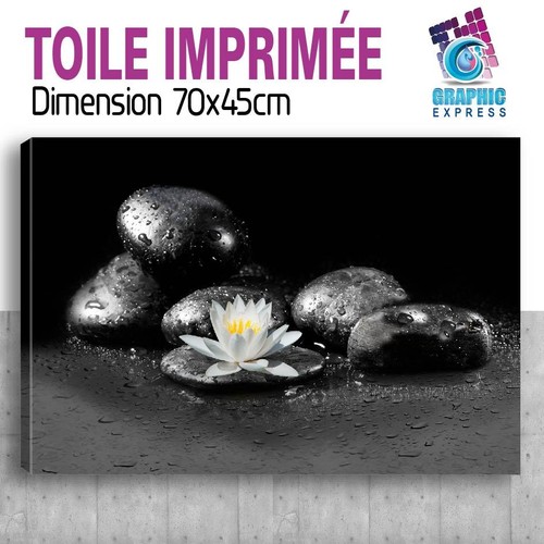 LOTUS WEISS - DRUCKTAFEL 58 MODELLE GEDRUCKT GEMÄLDE - ZN16 ORCHIDEE - Bild 55 von 59