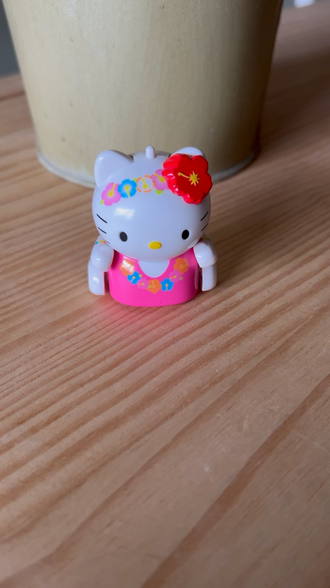 Rare 2004 30th Anniversary Vintage Sanrio Hello Kitty Micro Pet | eBay