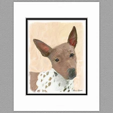 American Hairless Terrier Dog Original Art Print 8x10 Matted to 11x14
