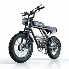 3000W dual motor 20 in fat tire electric mountain bike 48V 20Ah full suspension