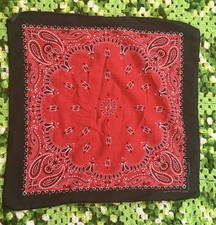 Vtg Hav A Hank USA Red Black Bandana Paisley Cotton Retro Handkerchief