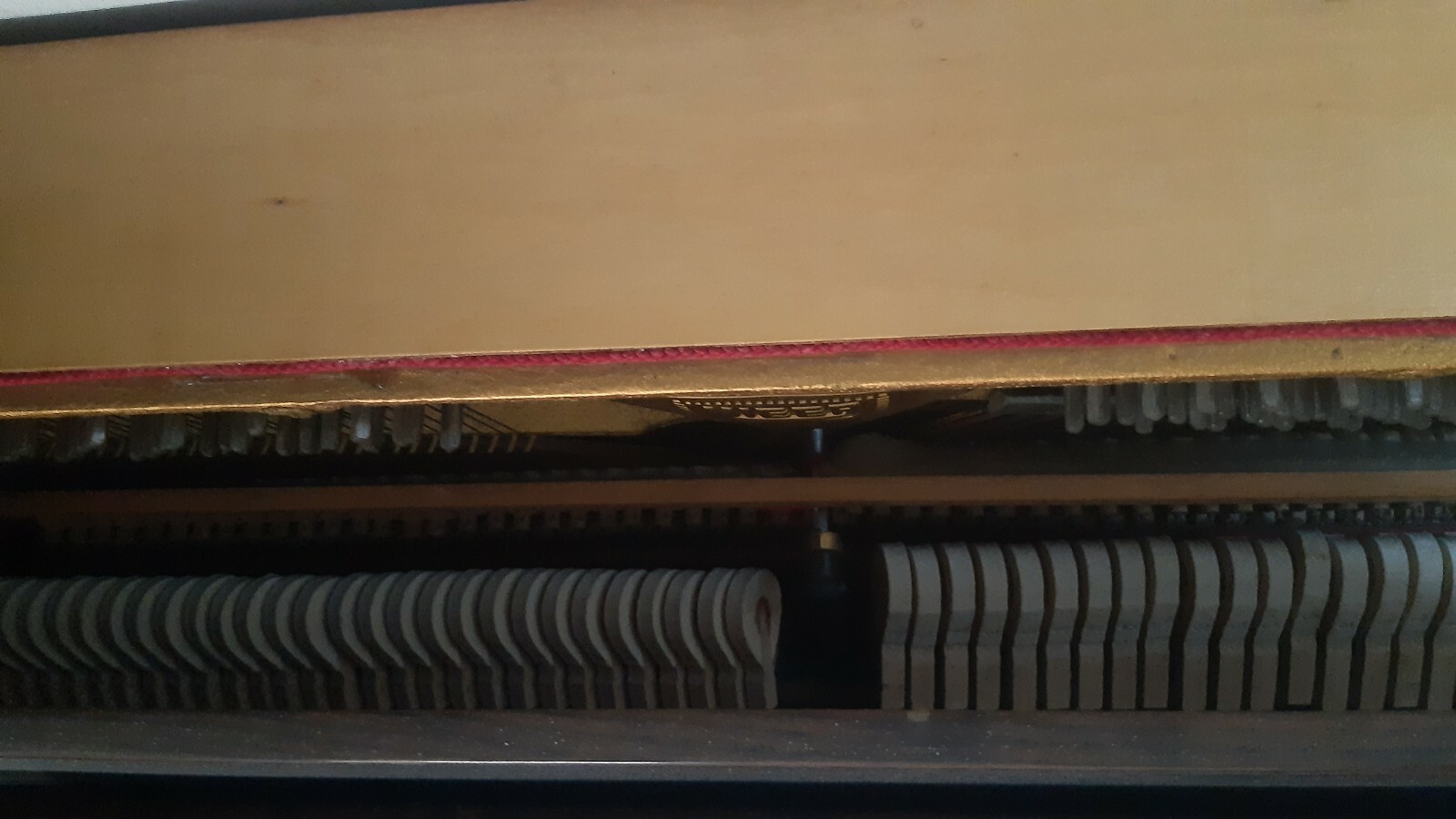 Foto 6 di 10