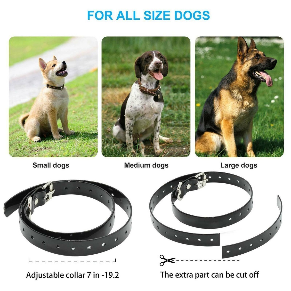Dog Training NO SHOCK Collar Vibrating Dog Collar Remote Control Rechargeable UK | eBay UK Dog Training NO SHOCK Collar Vibrating Dog Collar Remote Control Rechargeable UK | eBay UK
