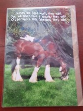 Horse birthday card funny card BLANK greetings card Horses Shetland Cyldesdale