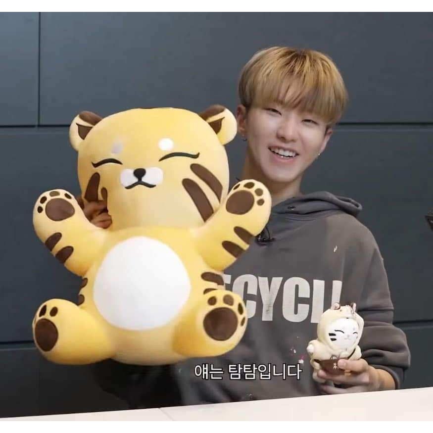 SEVENTEEN HOSHI 公式グッズ&マスター ぬいぐるみ 30cm 【公式通販】