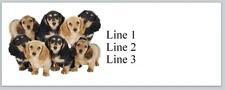 Personalized Address Labels Lots of Baby Dachshund Dogs (JX 255)