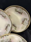 Weimar Hand Painted Small Dishes (5) Made In Germany For F Vorenberg Co. Boston — photo 5