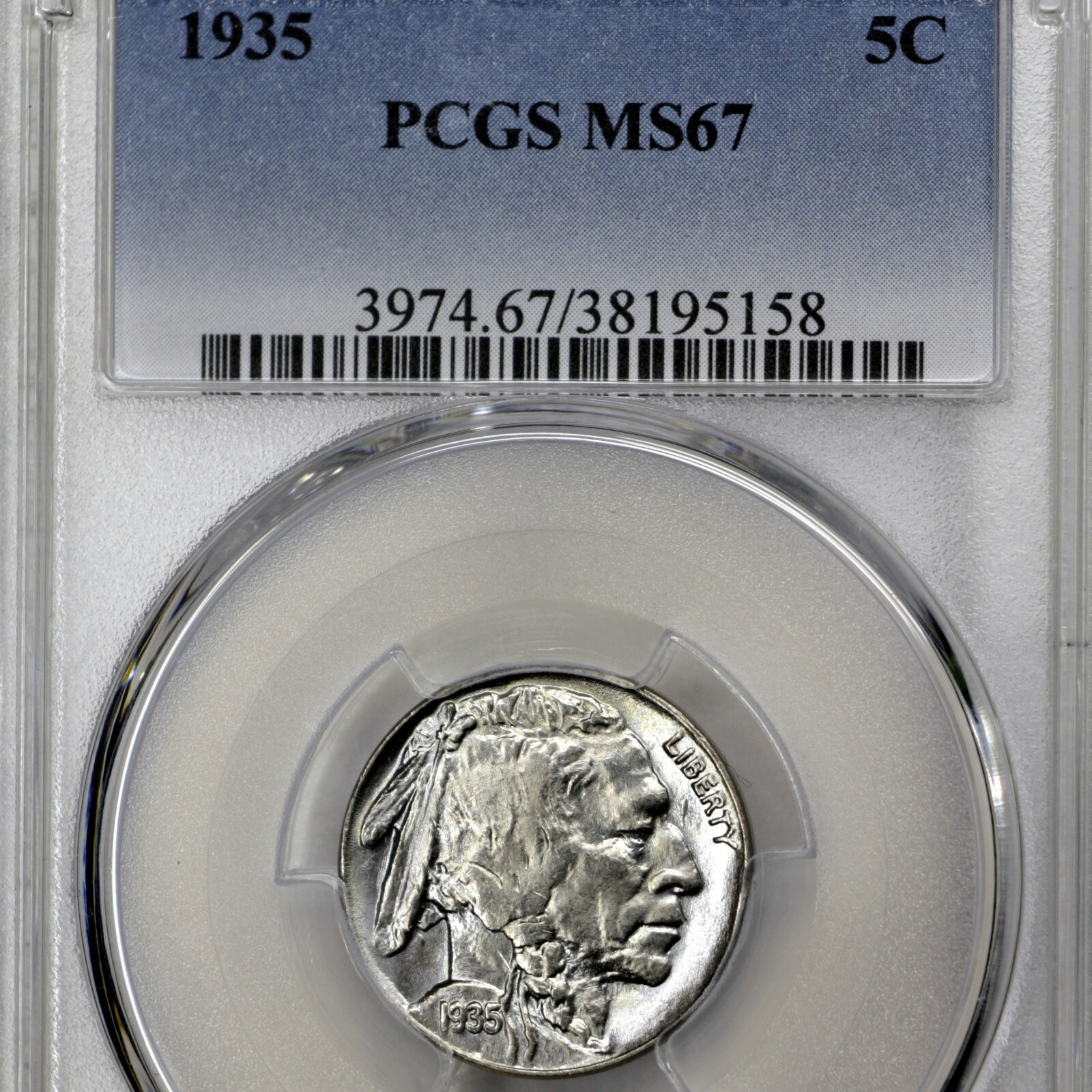 My-New-Buffalo-Nickels