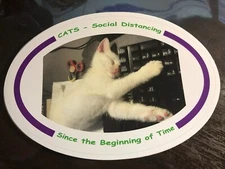 Social Distancing Hilarious Cat bumper sticker 2020 Pandemic Comic Relief