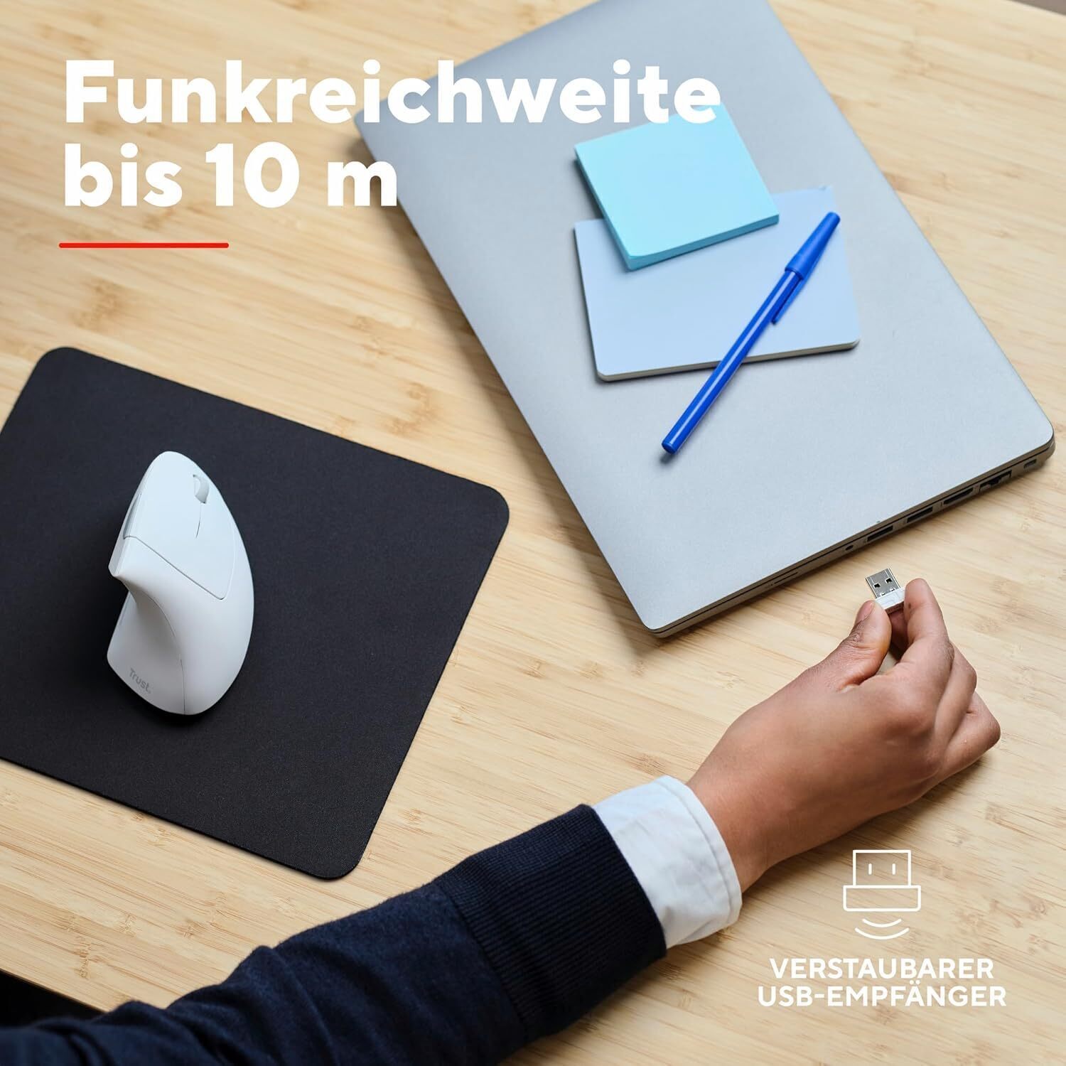 Bild 12 von 12