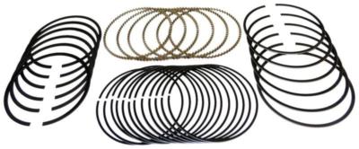 Hastings MOLY Piston Rings Set for Cadillac 390 +.040
