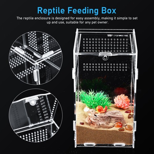 Reptile Enclosure Tarantula Enclosure Transparent Spider Enclosure Turtle Box - Picture 9 of 12