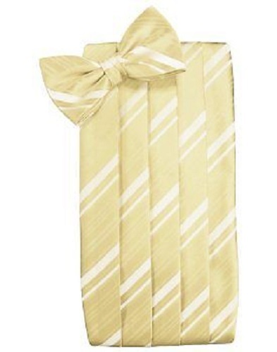 Striped Satin Cummerbund and Bowtie - Picture 6 of 31