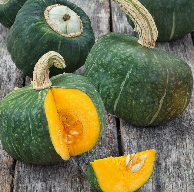 Buttercup Squash Seeds | Green Pumpkin Winter Kabocha Asian Vegetable Seed 2023 Buttercup Squash Seeds | Green Pumpkin Winter Kabocha Asian Vegetable Seed 2023