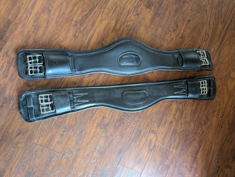 Albion and schleese Dressage Girths