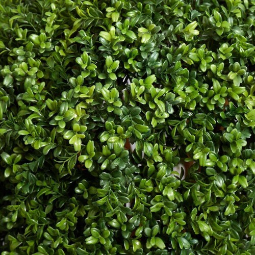 Nearly Natural Artificial Topiary 21"Wx36"H Boxwood Indoor Doorway Accent Green - Picture 5 of 6