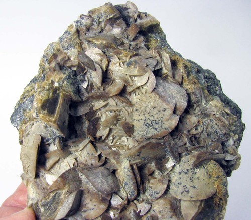 SIDERIT TYPISCHE LINSENFORMKRISTALLE auf MATRIX aus PERU......... JULCANI MINE - Bild 13 von 13