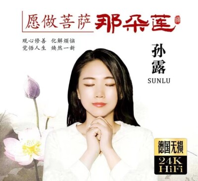 3CD Chinese pop music CDs album Sun lu music songs孙露cd专辑