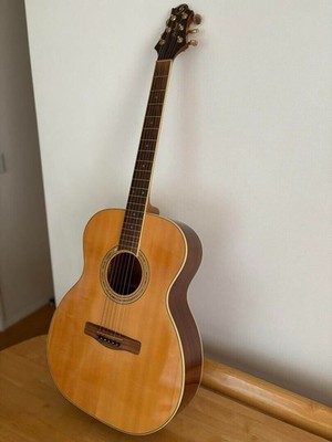 Greg Bennett Akustikgitarre gebraucht guter Zustand getestet funktioniert...