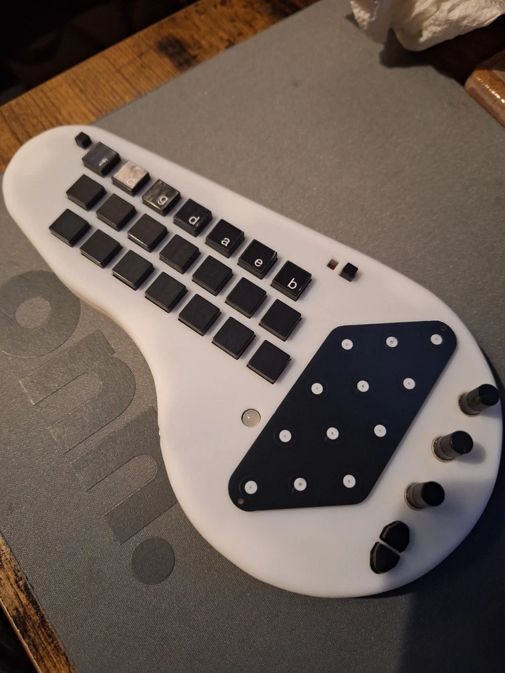 Minichord Musikinstrument im Taschenformat Alternative Touch Plate