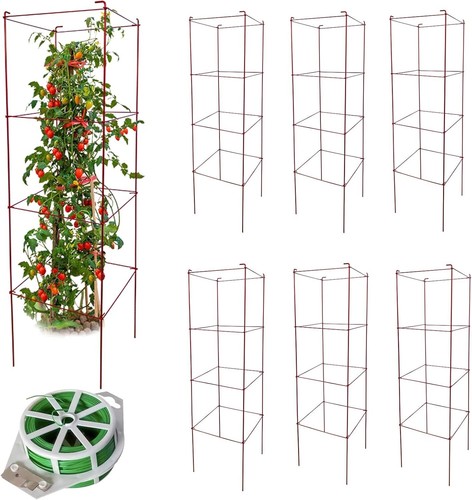 Adjustable Heavy-Duty Tomato Cages - 6 Pack with Twist Ties for Climbing Plants - Picture 3 of 11