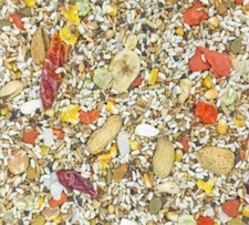 Higgins SAFFLOWER Gold Large Parrot Diet Bird Food Nut Fruit African Cockatoo