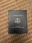 2007-W 1 oz Silver American Eagle UNCIRCULATED (OGP & CoA)