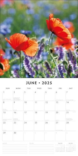 Wild Flowers 2025 Square Wall Calendar