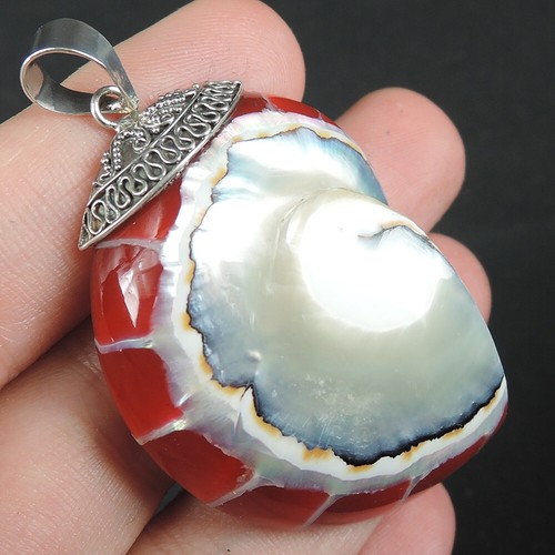 925 Sterling Silver Large Red Nautilus Shell Pendant Hand Made Jewelry NSP-259 - Picture 2 of 5