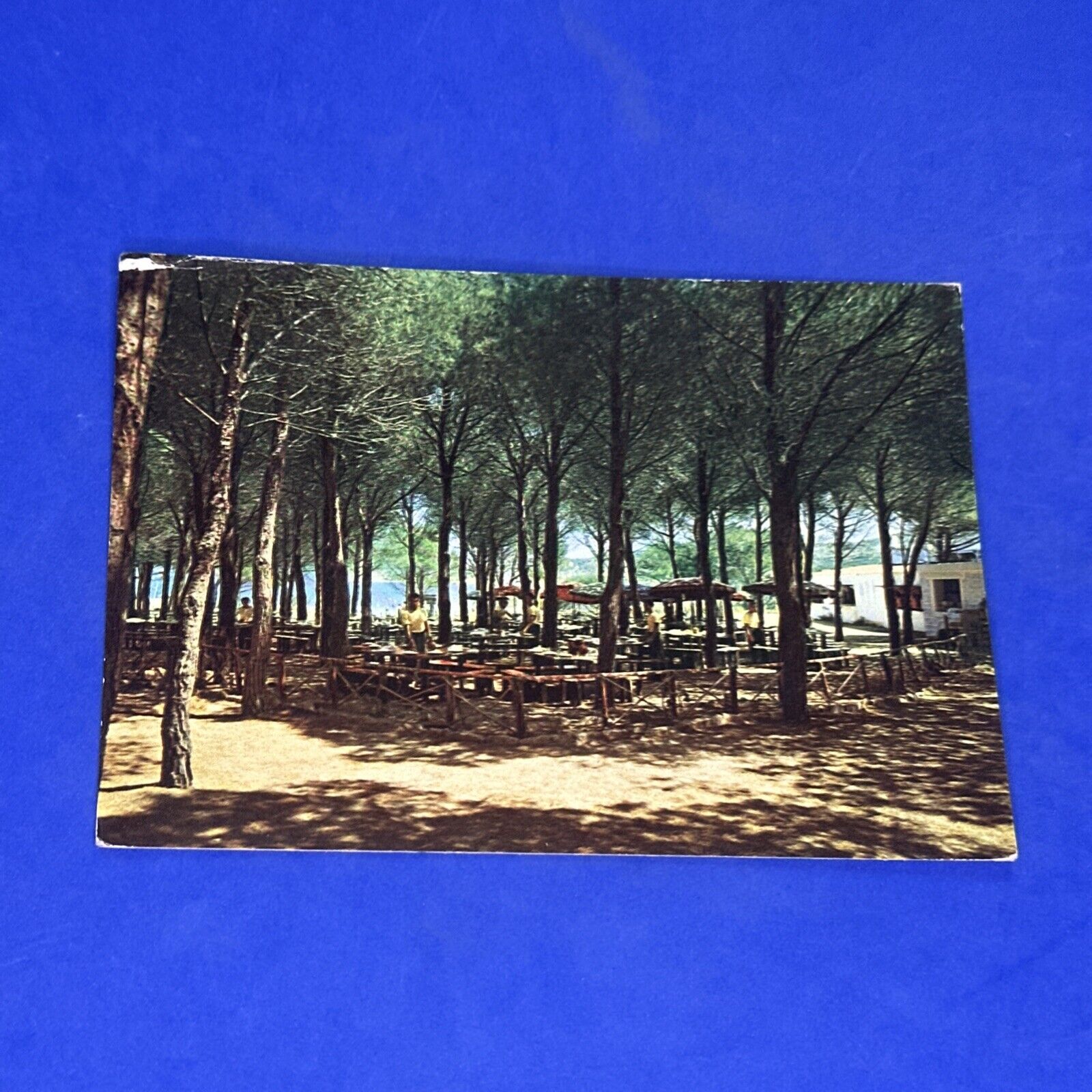 Foto 1 di 2