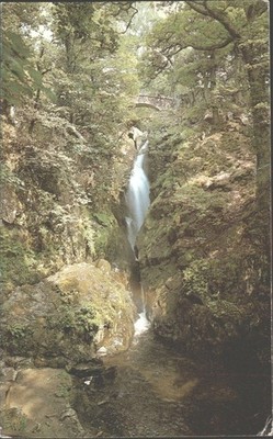 Aira Force Ullswater Wasserfall J. Salmon Kameraphon Postkarte gedruckt England