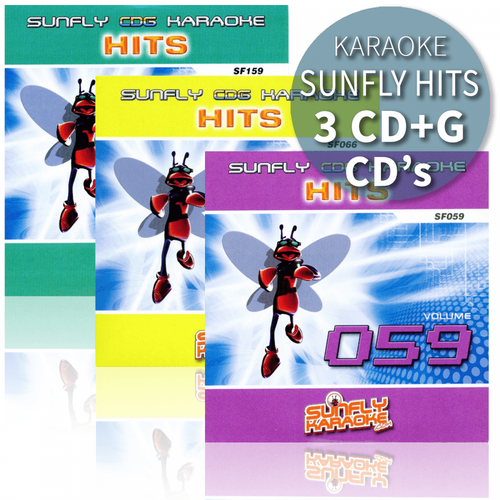 Sunfly Karaoke - Flying Without Wings In The Style Of Pop Idols: Listen With Lyr - Foto 10