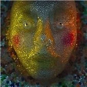 Post War Years - Galapagos (2013)