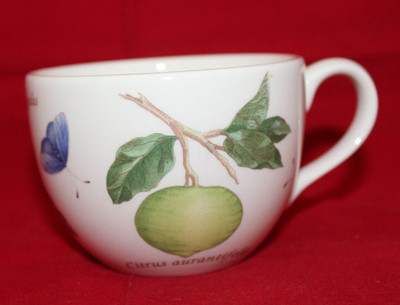 Wedgwood Queen's Ware Sarah's Garden Coffee Tea  Mug Cup Butterfly Citrus 1997