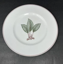 Royal Worcester Sprig Dinner Plate Made in England 10 5/8"