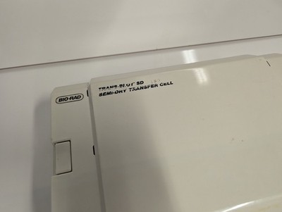 Bio Rad Trans-Blot SD Semi-Dry Electrophoretic Transfer Cell