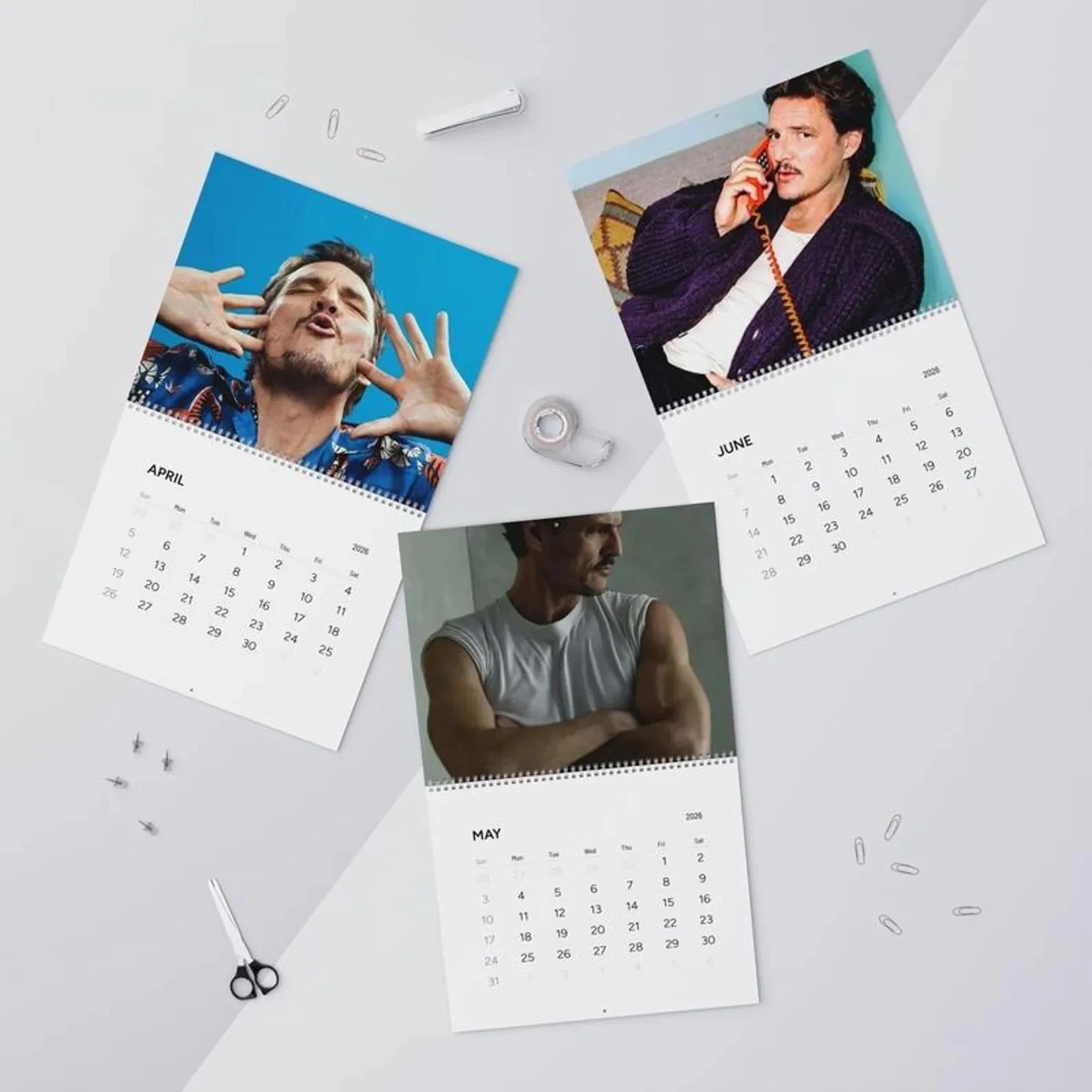 Pedro Pascal 2026 Calendar, Celebrity Crush Monthly Planner, Funny Wall Calendar