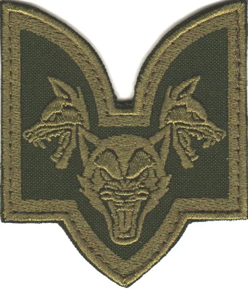 Patches of Various Ukrainian Army Units (Chevrons) 2014-2026