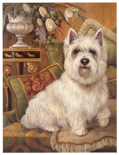 WEST HIGHLAND WHITE TERRIER WESTIE DOG FINE ART PRINT Classic Study Portrait