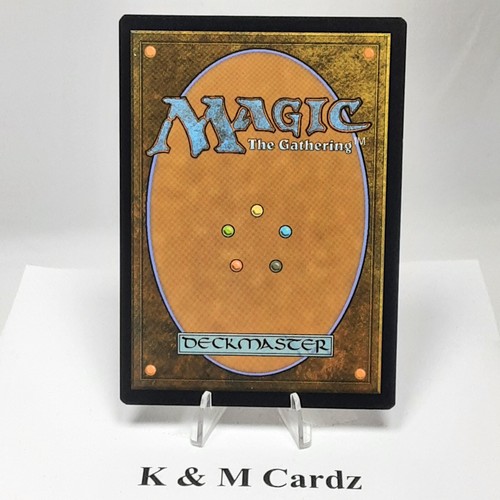 MTG - Dungeons & Dragons - Plains - #263 - Picture 2 of 3