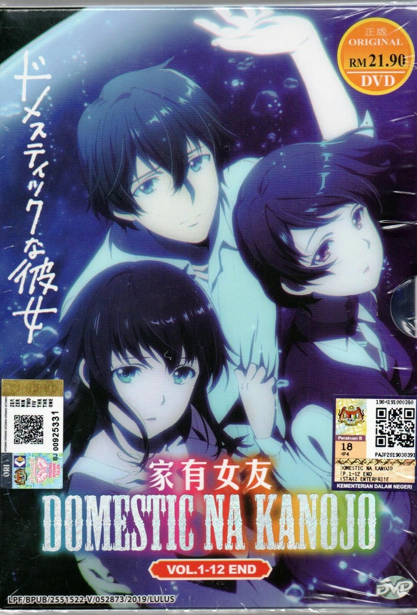 Anime DVD Domestic Na Kanojo TV Series Vol.1-12 End English
