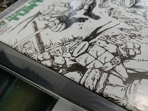 Teenage Mutant Ninja Turtles #1F 3rd Printing 2011 - Bild 3 von 12