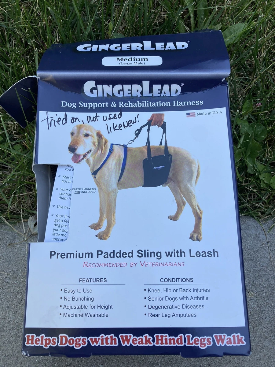 GingerLead Dog Support Rehabilitation Harness Padded USA Leash Size Medium  Large | eBay