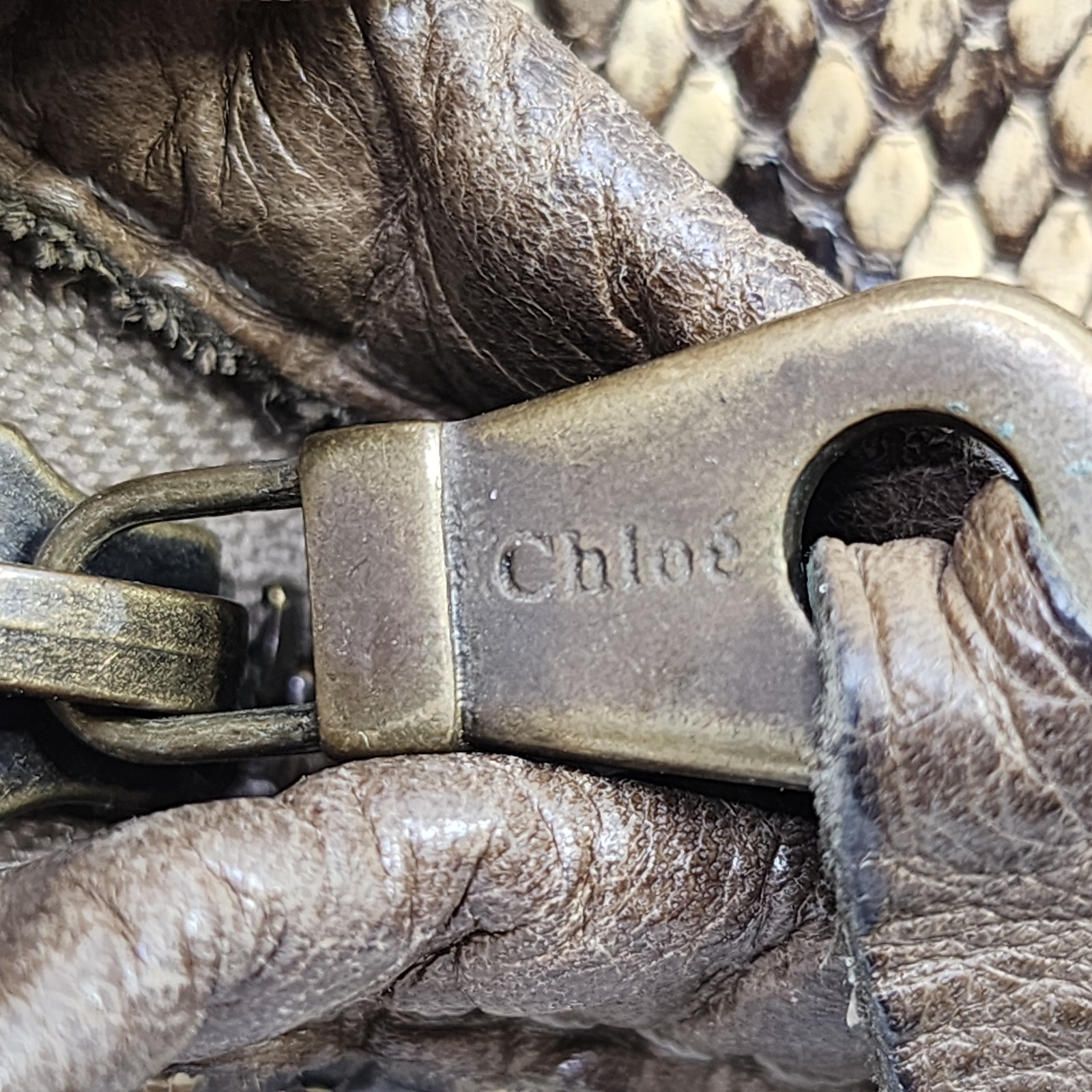 Chloe Python Snakeskin Leather Silverado Shoulder… - image 12