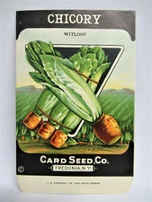 *Original* Witloof CHICORY CARD SEED CO. Packet 1920's Fredonia NY