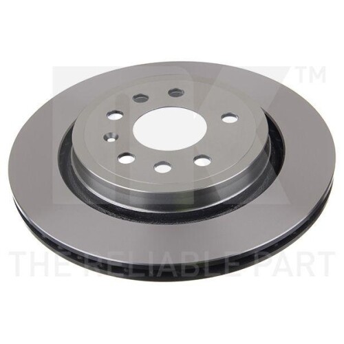 Nk 203650 Bremsscheibe Hinterachse FüR CitroëN Fiat Opel Saab Vauxhall Chevrolet-image