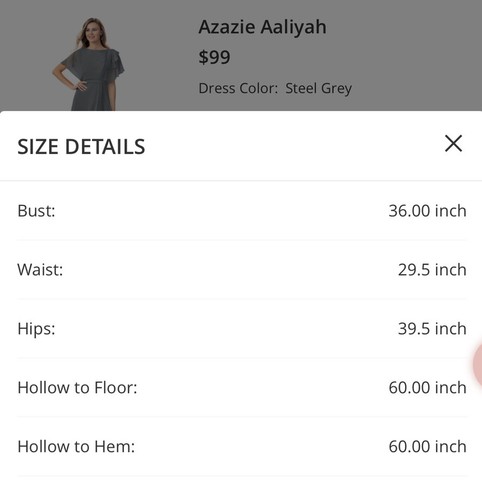 Azazie Steele Gray Bridesmaid Dress Style: Aaliyah Size 8 NWT Dark Gray Modest - Picture 4 of 5